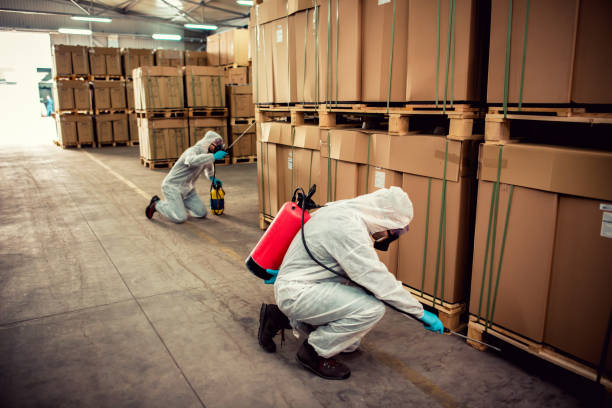 Best Affordable Pest Control Services  in Potterville, MI