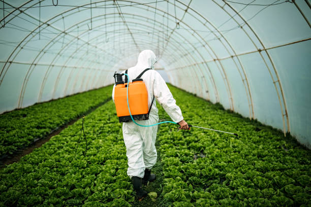 Best Affordable Pest Control Services  in Potterville, MI