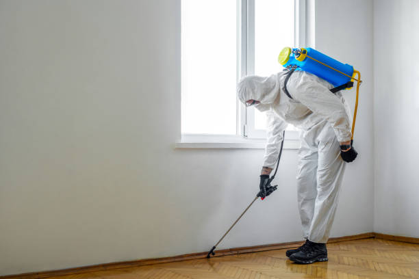 Best Pest Removal Services  in Potterville, MI