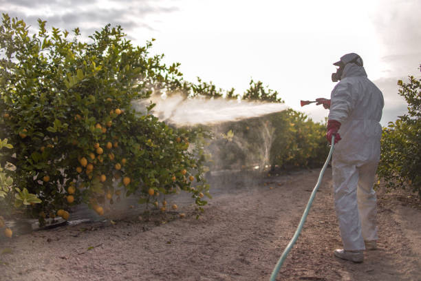 Best Commercial Pest Control Services  in Potterville, MI