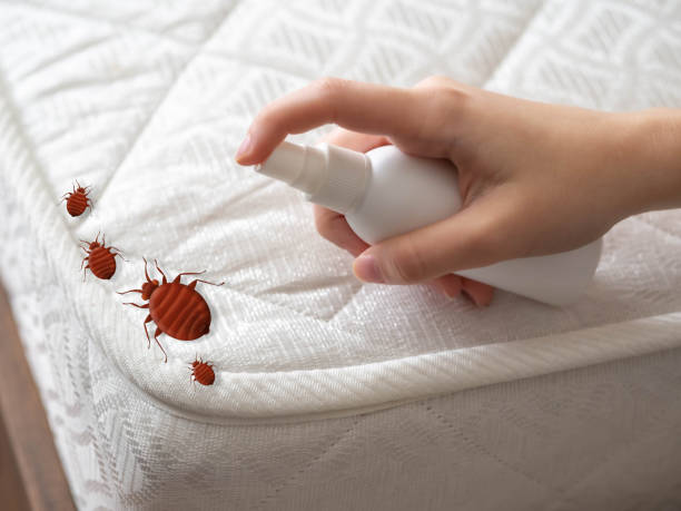 Best Termite Control Services  in Potterville, MI