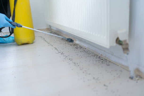 Best Cockroach Control Services  in Potterville, MI