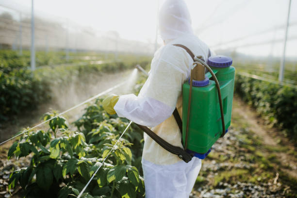 Best Emergency Pest Control  in Potterville, MI